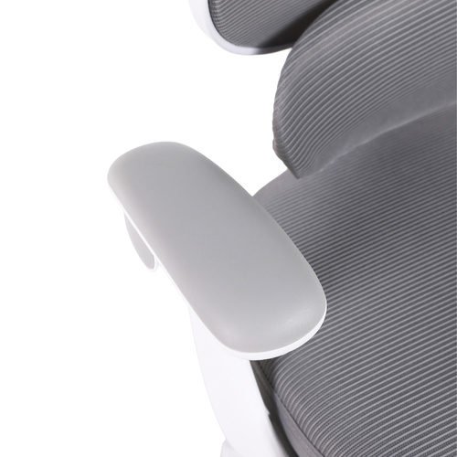 Fotel obrotowy Belivio VIVO szary