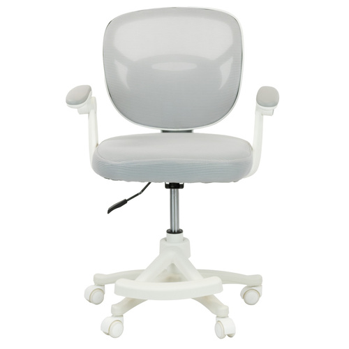 Fotel obrotowy Belivio ELMO szary